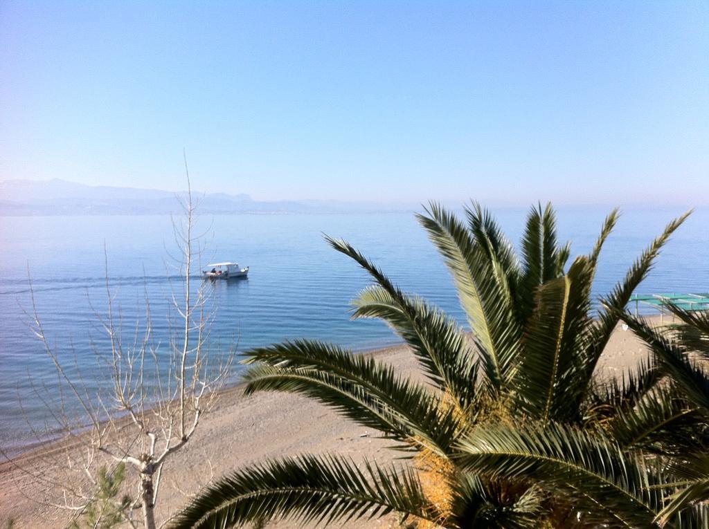 Posidonia Pension Amarynthos Exterior photo